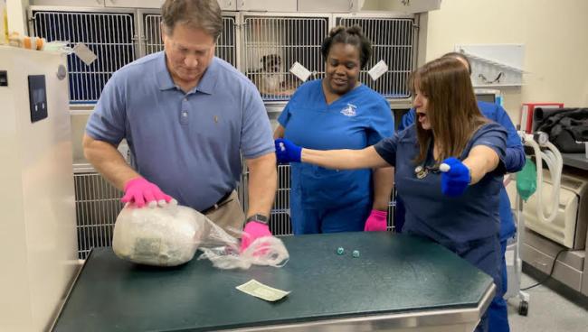 Careers - Dunwoody Animal Medical Center